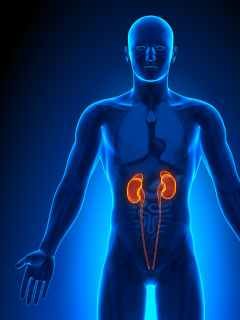 Kidney Care